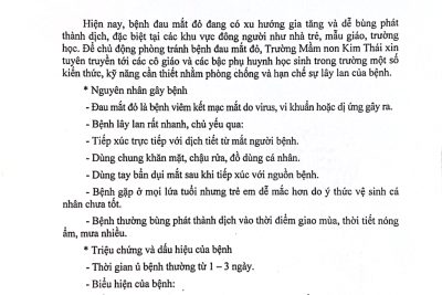 BÀI TUYÊN TRUYỀN PHÒNG CHỐNG BỆNH ĐAU MẮT ĐỎ. TRƯỜNG MN KIM THÁI